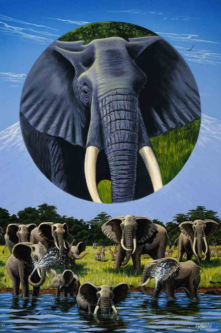 Return to the Wild