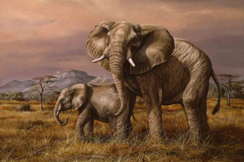 Mother and Child (Elephants)