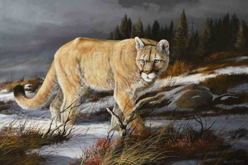 Evening Hunter