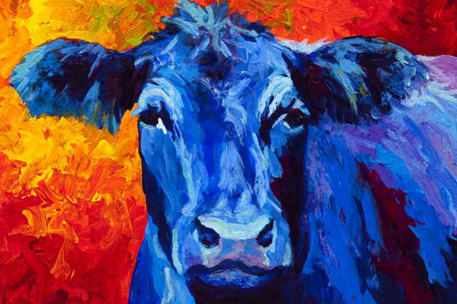 Blue Cow
