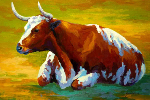 Longhorn Cow