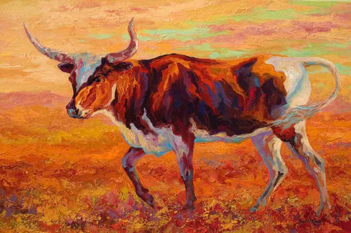 Longhorn Heifer