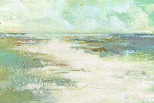 Misty Coast