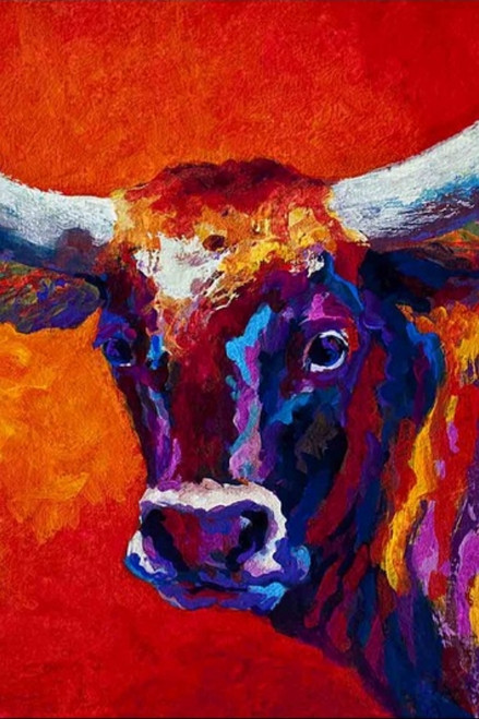 Steer