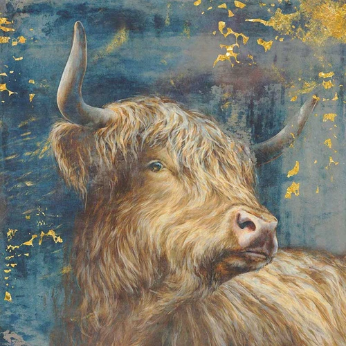Highland Bull