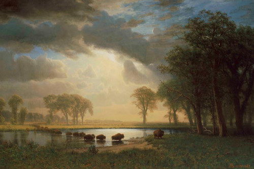 The Buffalo Trail