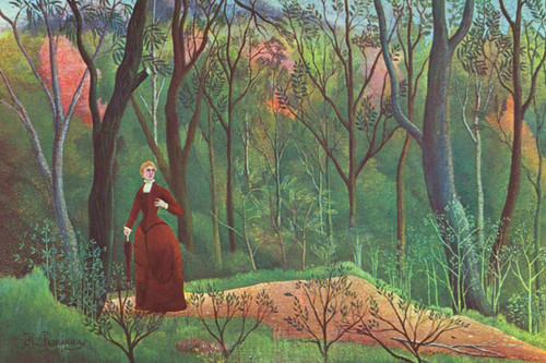 A Walk in the Forest
