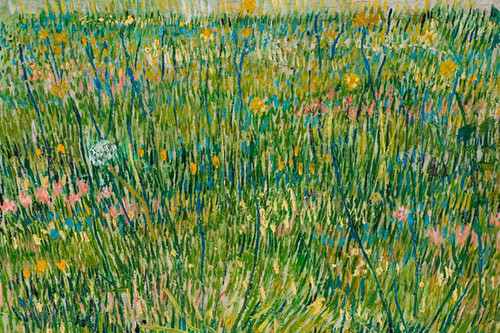 Patch of Grass