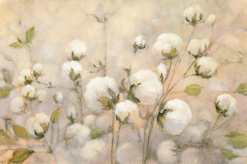Cotton Field