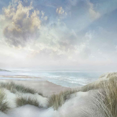 Windswept III