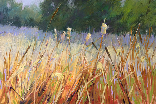 Cattails