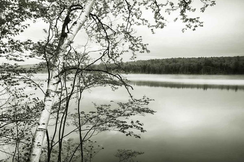 Adirondack Reflections
