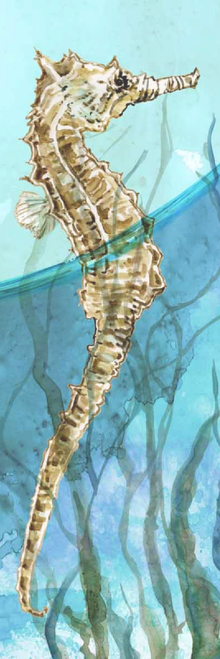 Delray Seahorse I