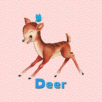 Cute Baby Deer