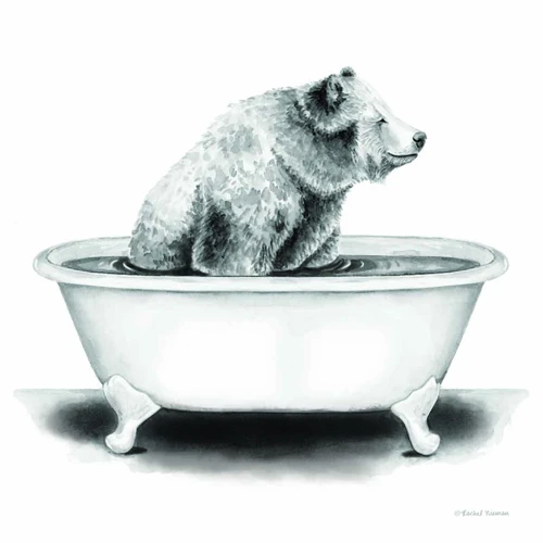Bear in Tub