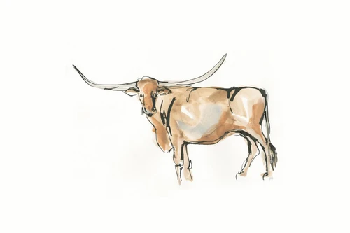 Longhorn II