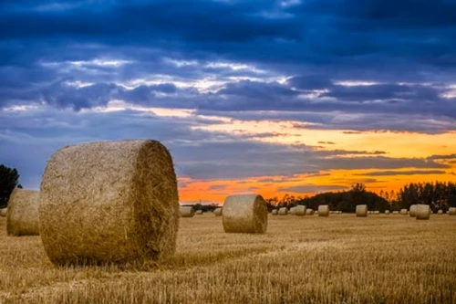 Haystack At Dusk I