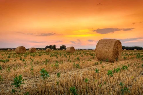 Haystack At Dusk II