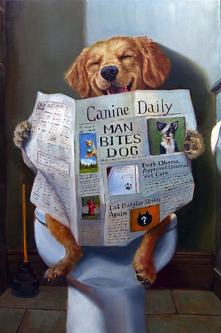 Dog Gone Funny