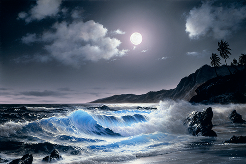 Moonlit Coast