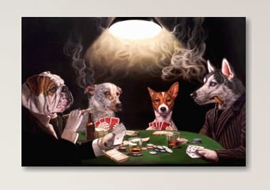 Hobbies & Lifestyles