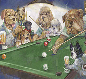 Hobbies & Lifestyles