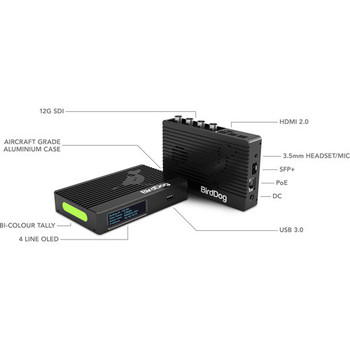 BirdDog 4K Quad NDI 編碼解碼器