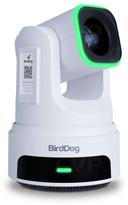 BirdDog X4E Ultra 4K PTZ 攝錄機｜白色