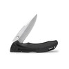 Buck Knives 285 Bantam BLW Knife: 3.13", 420HC Drop-Point Blade, Black Glass-Reinforced Nylon Handle, Model 0285BKS-C
