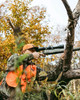 Vortex Optics Crossfire HD 4-12x44 SFP Riflescope: 1" Tube, WideRange Plex (MOA) Reticle | DEMO CFR-41202, Grade A