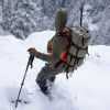 Stone Glacier Col 4800 Pack - Xcurve Frame, Foliage | 50105-FG