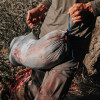 Stone Glacier Game Bag - Individual | 70063-SG