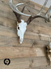 Grand Pursuit Outfitting European Mounting System, Single Pack: Small | SEMS-S1