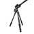 Vortex Radian Carbon Tripod + Ball Head