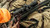 Weatherby Model 307 Range XP Rifle - 270 Win, 24" Barrel, Model 3WRXP270NR6B