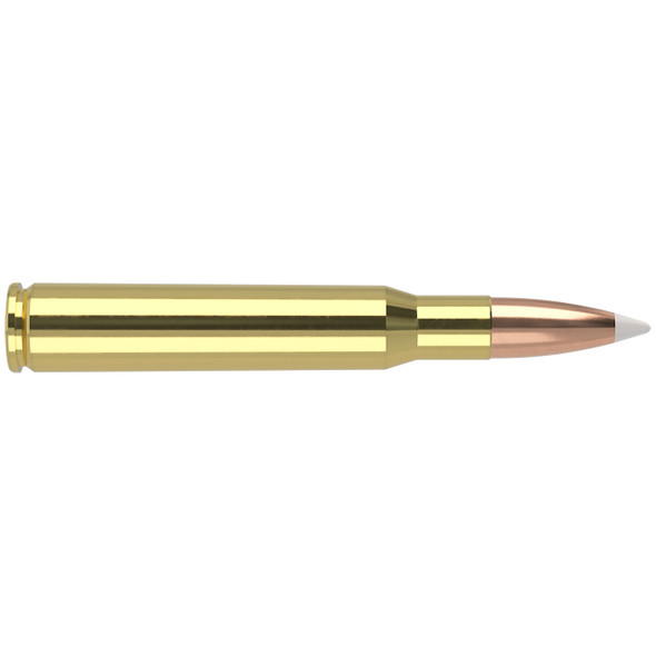 Nosler Trophy Grade Ammunition - 30-06 Springfield, 180 gr, AccuBond, 2750 fps, Model 46134