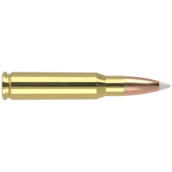 Nosler Trophy Grade Ammunition - 308 Win, 165 gr, AccuBond, 2800 fps, Model 60049