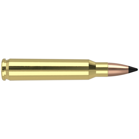 Nosler Varmageddon Ammunition - 223 Rem, 55 gr, FB Tipped, 3100 fps, Model 65145