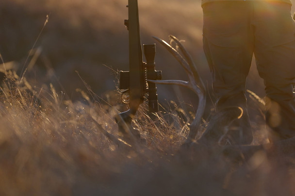 Weatherby Model 307 Range XP Rifle, OD Green: 243 Win, 22" Barrel, Model 3WRXP243NR4B