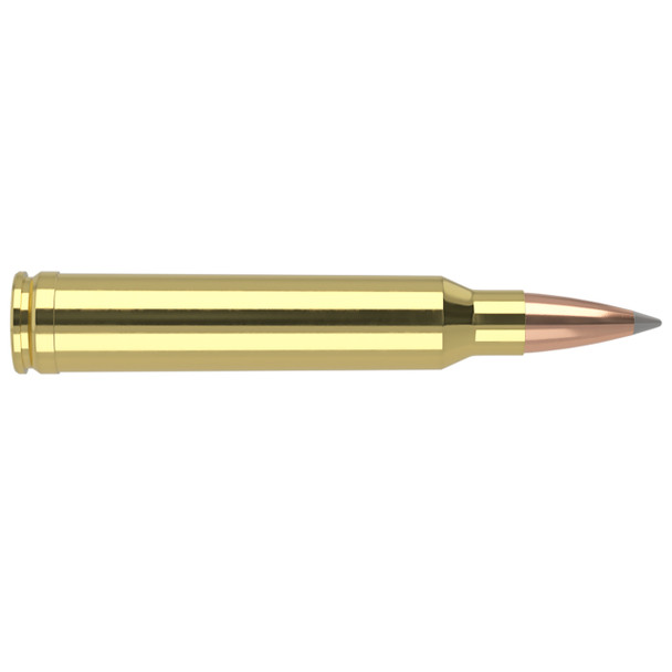 Nosler Trophy Grade Long-Range Ammunition: 300 Win Mag, 190 gr, AccuBond Long-Range, 2870 fps, Model 60126