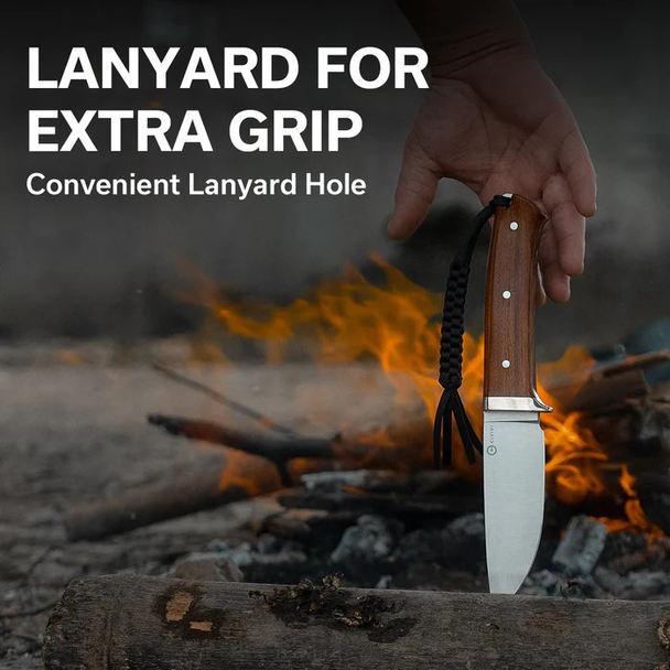 CIVIVI Cloud Peak Knife: 4.6", Drop Point, Plain Edge, Satin Blade, Guibourtia Wood Handle, Nickel Slvr Guard, Model C23044-3