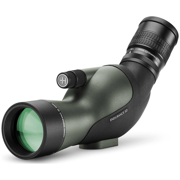 Hawke Endurance ED Compact 13-39x50 Spotting Scope: Angled