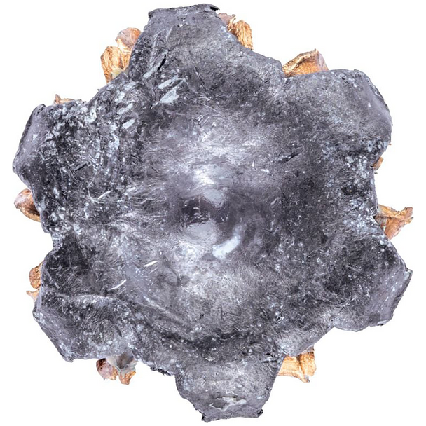 Federal Personal Defense Punch Ammunition: 45 ACP, 230 gr, JHP, 890 fps, Model PD45P1G