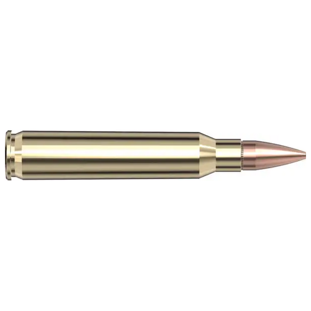 Hornady Frontier Cartridge Ammunition: 5.56x45mm, 75 gr, BTHP Match, 3240 fps, Model FR320