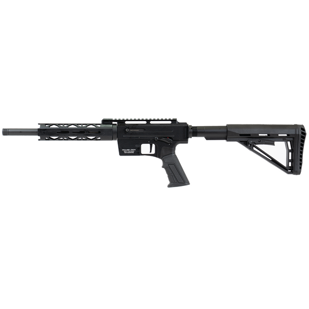 Derya TM22 Pro Rifle, Black: 22 LR, 12" Barrel, Model TM22-PRO-12-BLK