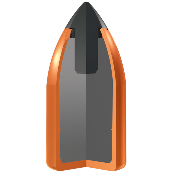 Winchester Deer Season XP Ammunition: 450 Bushmaster, 250 gr, Extreme Point, 2200 fps, Model X450DS