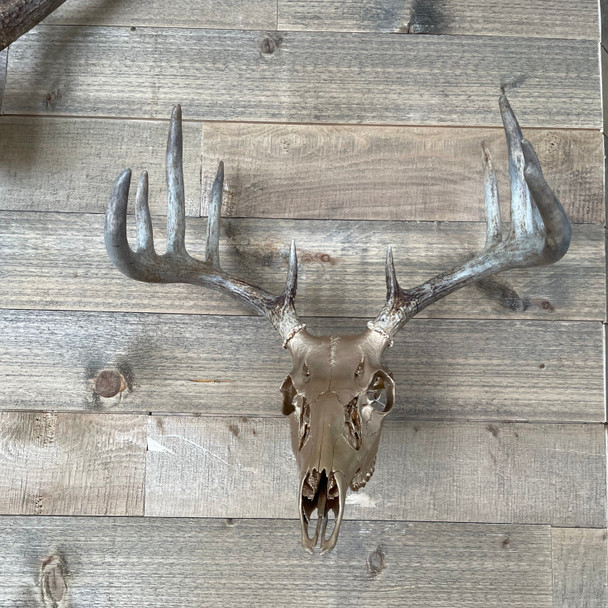 Grand Pursuit Outfitting Skull Lift Bracket for European Mounting Systems: Low Lift