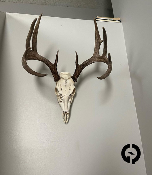 Grand Pursuit Outfitting European Mounting System, Single Pack: Large | SEMS-L1