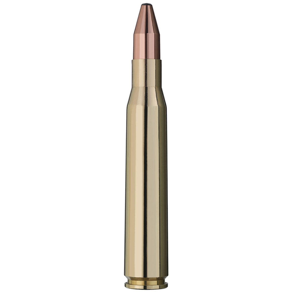 RWS Kegelspitz Ammunition: 8x68 S, 180 gr, Cone Point, 950 m/s