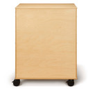 Supply Cabinet (Thumbnail)